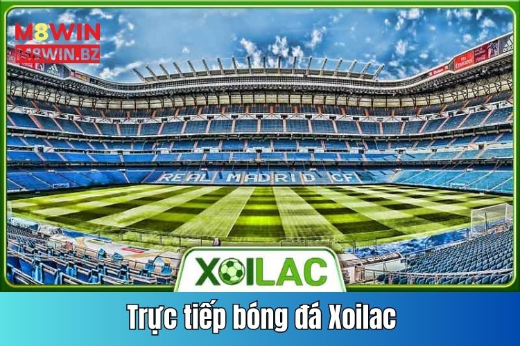 Khám phá trực tiếp bóng đá xoilac siêu hấp dẫn, cập nhật trực tuyến 24/7